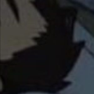 Meet your Posher, Rita